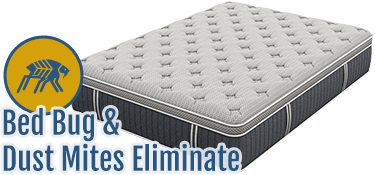 Mattress Cleaning